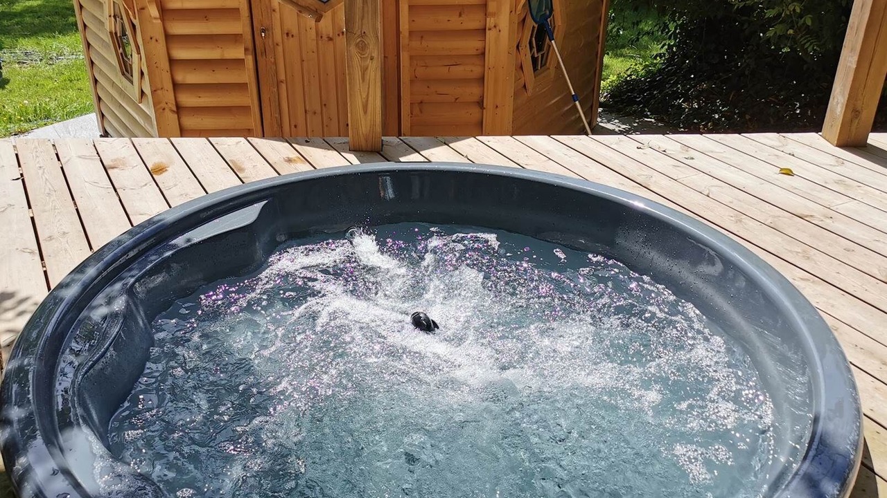 Photo of Others in Ambon