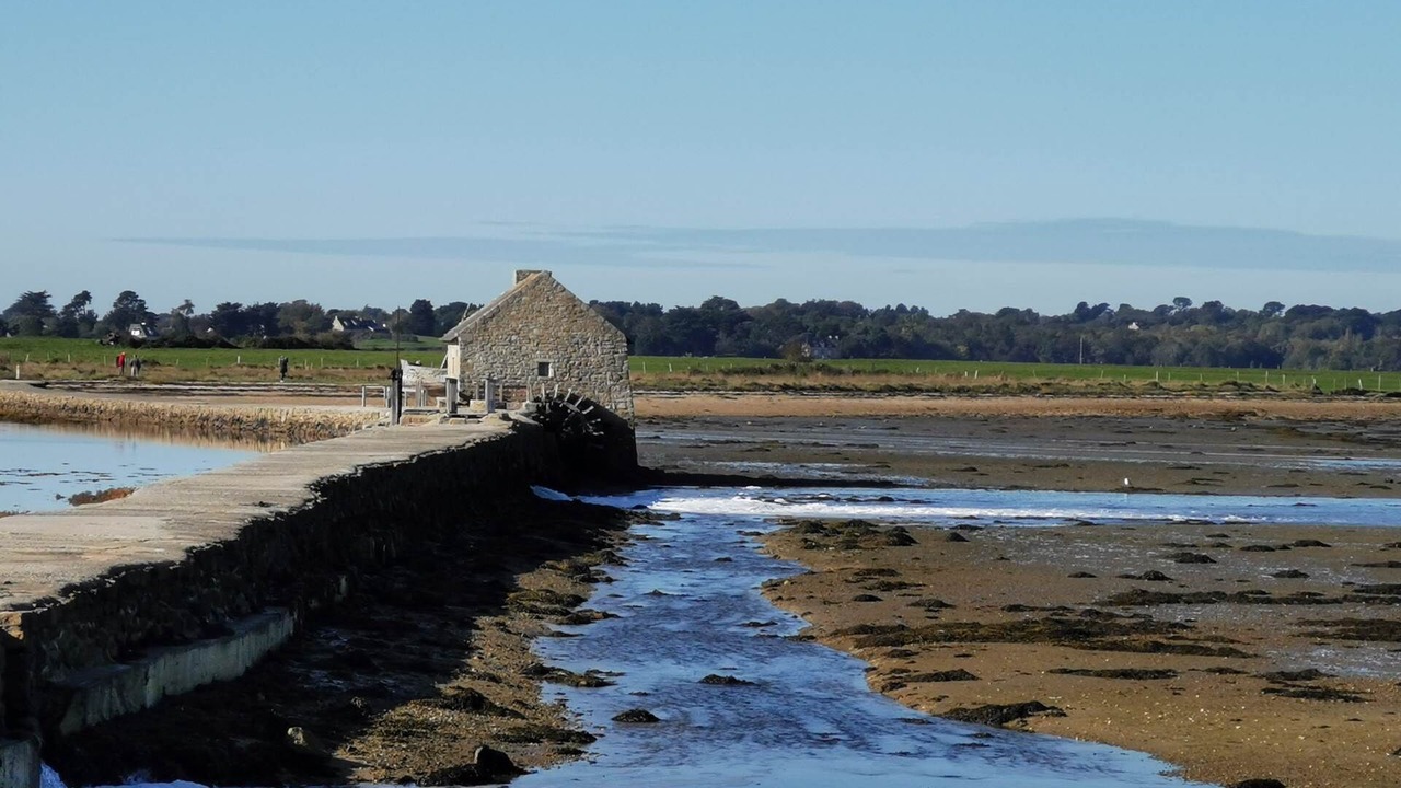 Photo of Others in Ambon