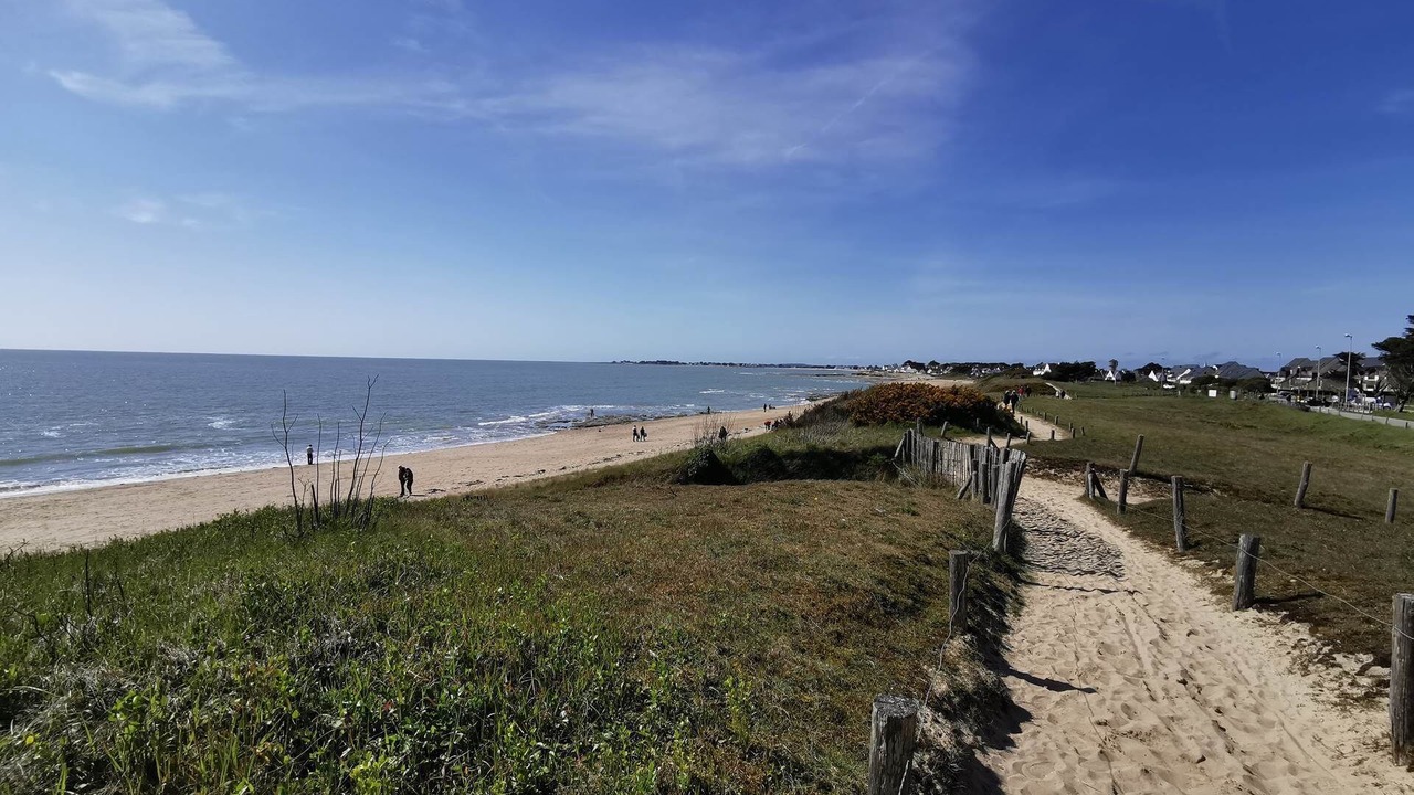 Photo of Others in Ambon