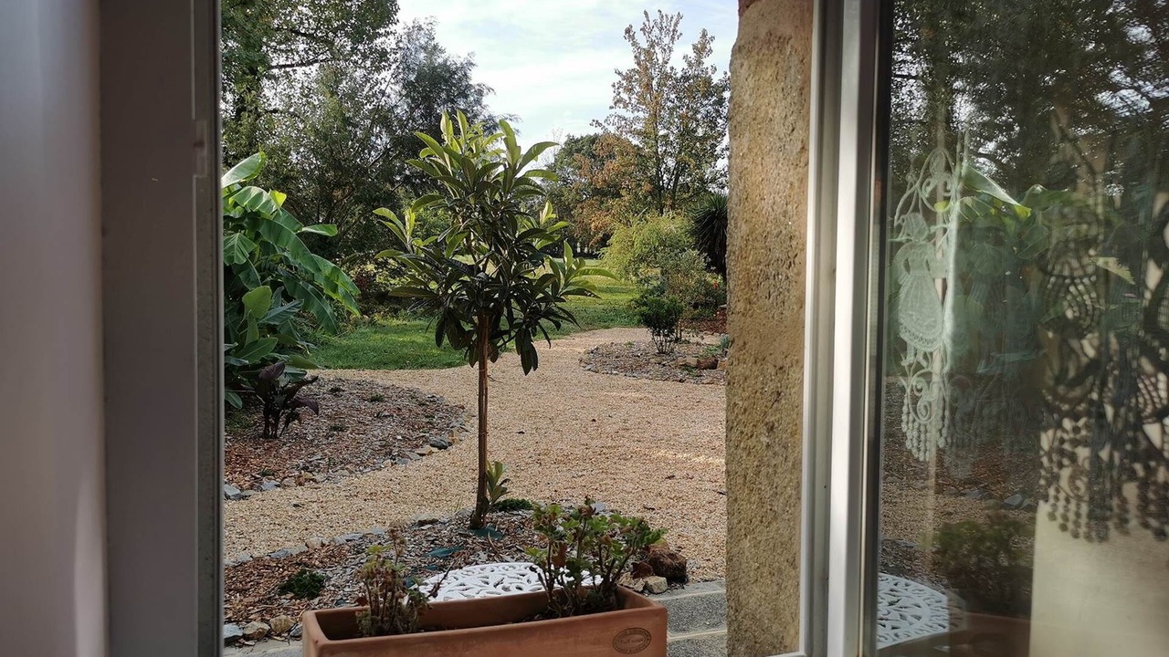 Photo of Others in Ambon