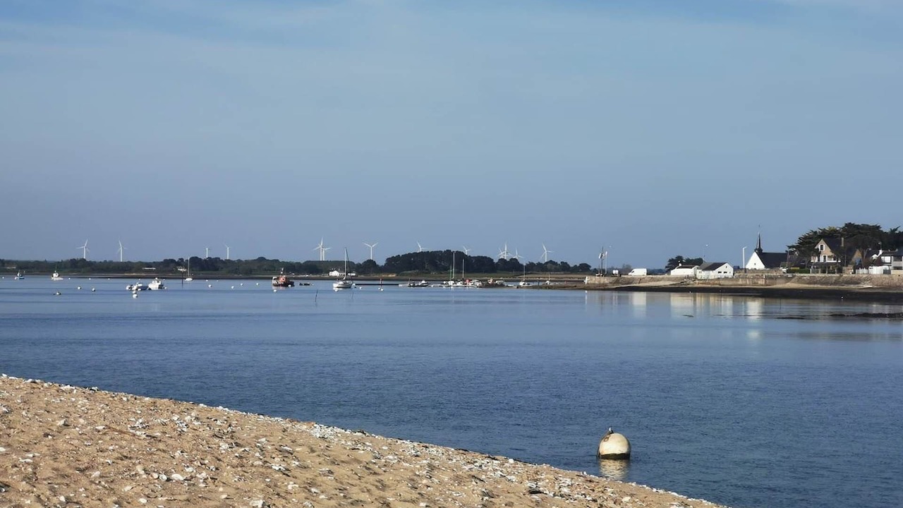 Photo of Others in Ambon