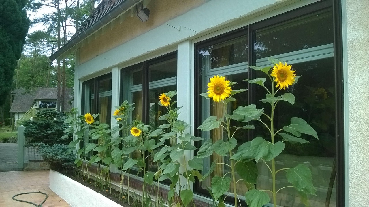 Photo of Outdoor in Chambray