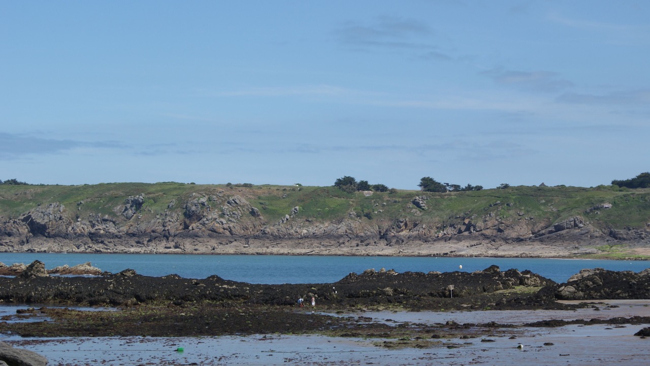 Photo of Others in Saint-Coulomb