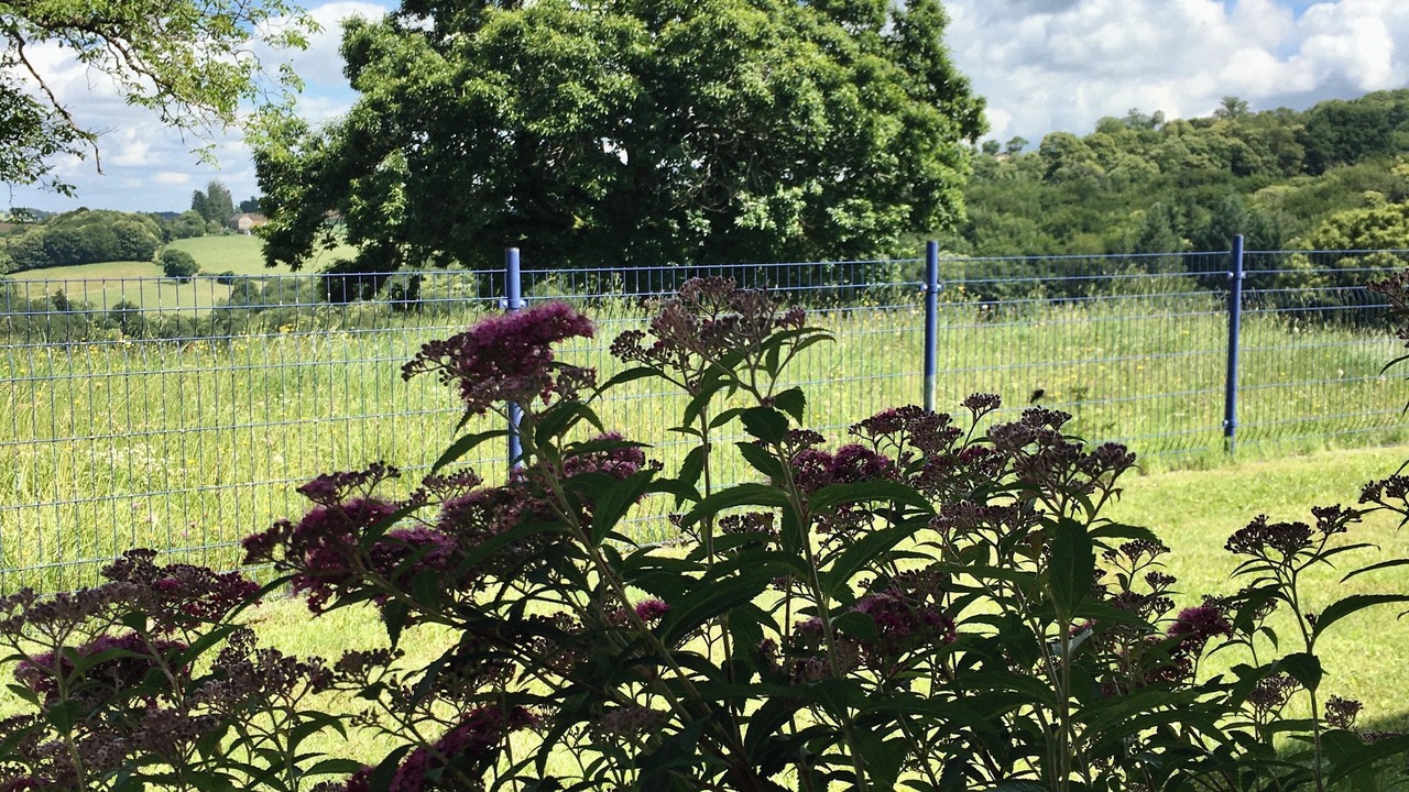 Photo of Outdoor in Rieupeyroux