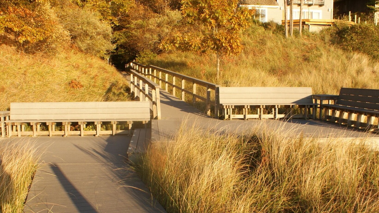 Photo of Outdoor in Shelby