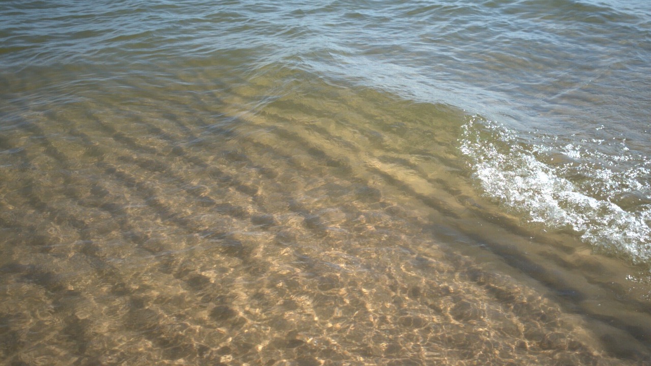 Photo of Others in Shelby