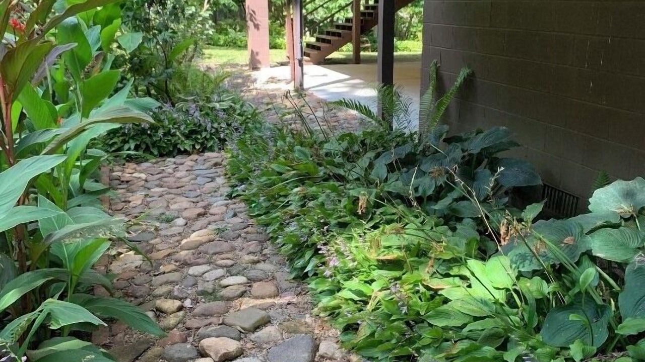 Photo of Outdoor in Rockfield