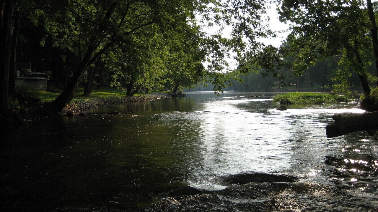 Photo of Others in Rockfield