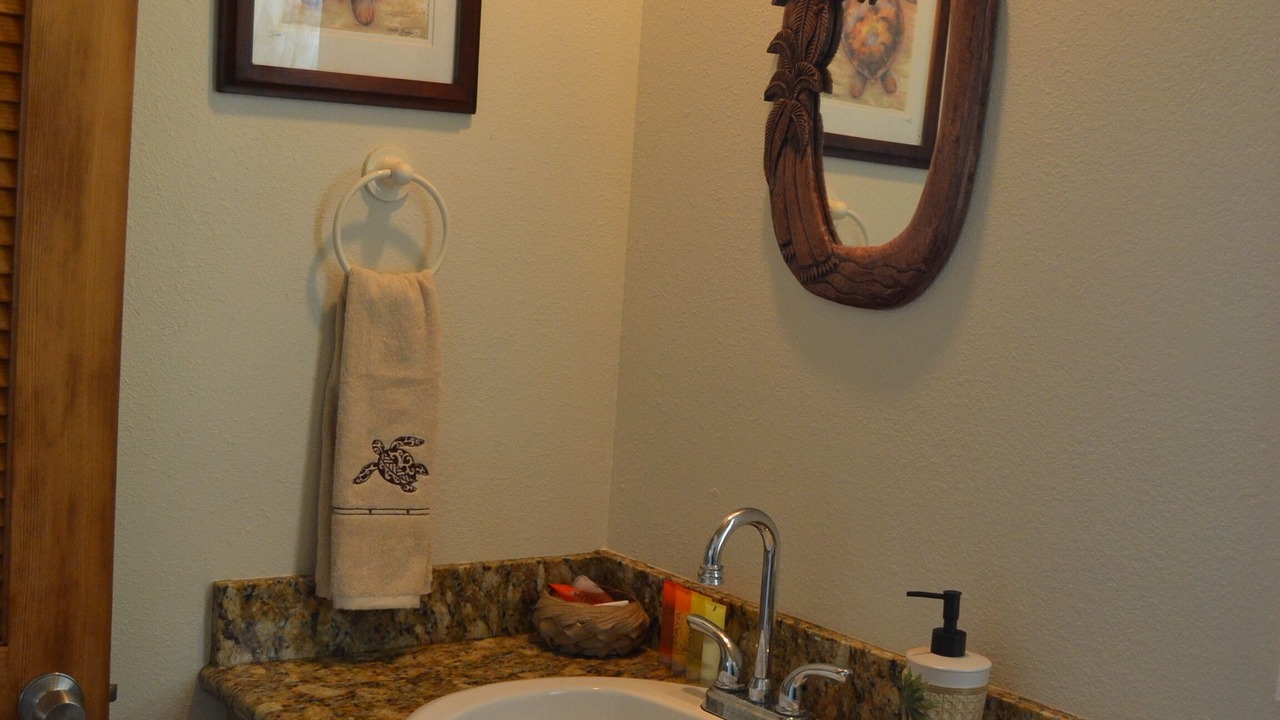 Photo of Bathroom in Keaau