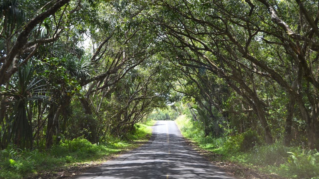 Photo of Others in Keaau