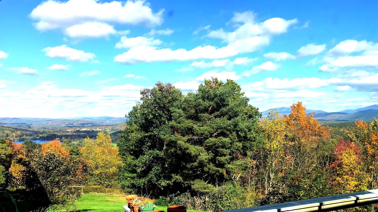 Photo of Outdoor in Cambridge