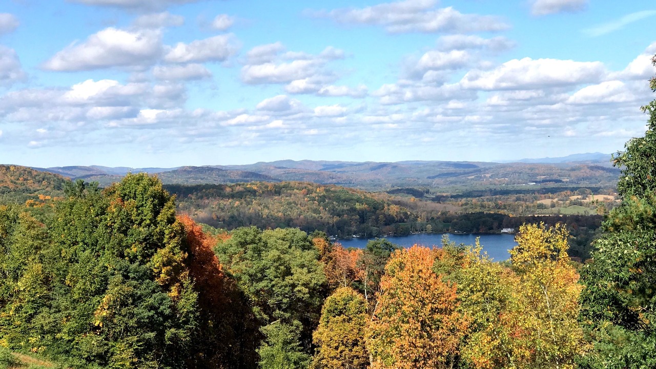 Photo of Outdoor in Cambridge