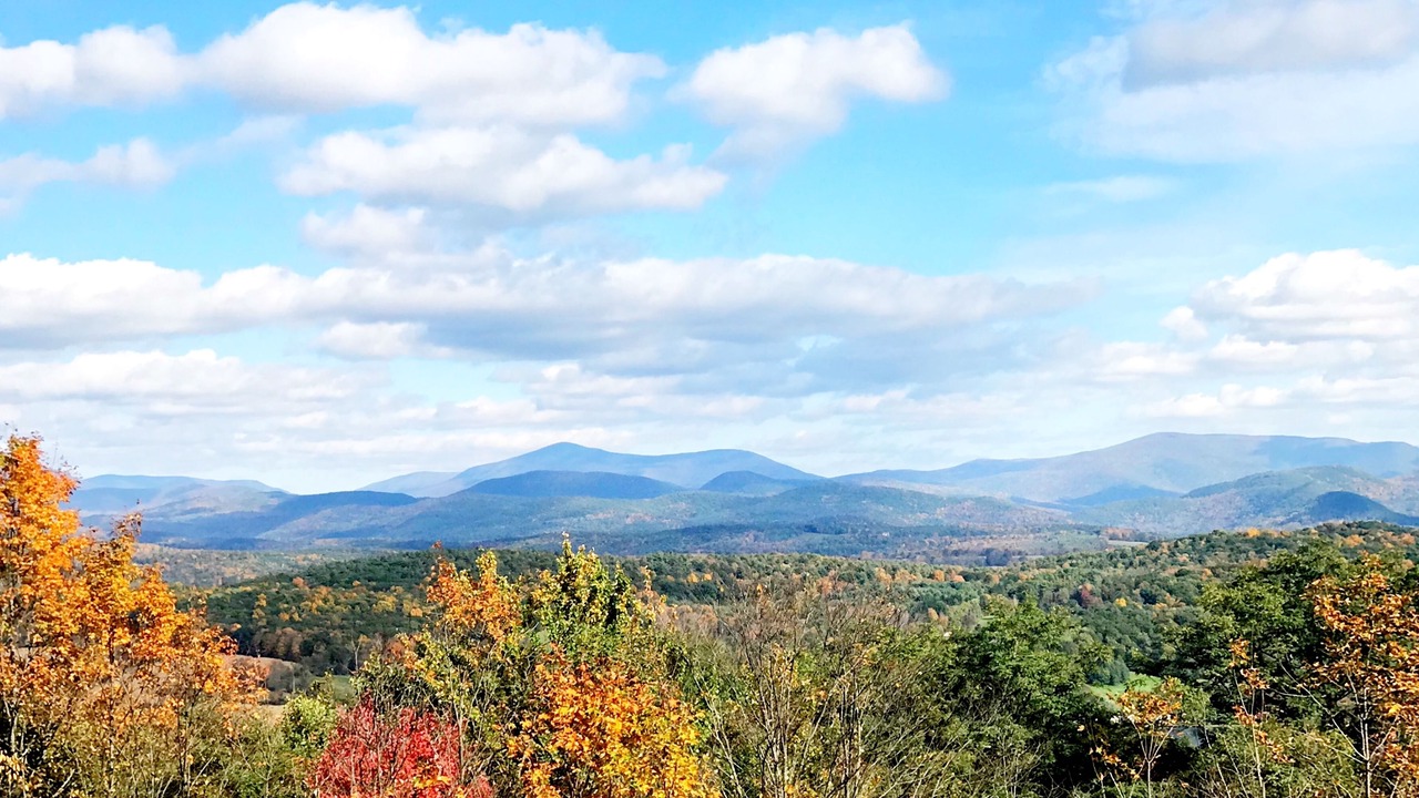Photo of Outdoor in Cambridge