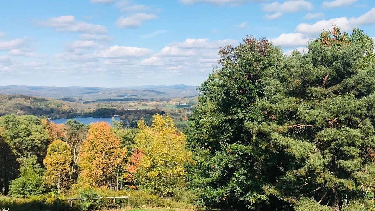 Photo of Outdoor in Cambridge