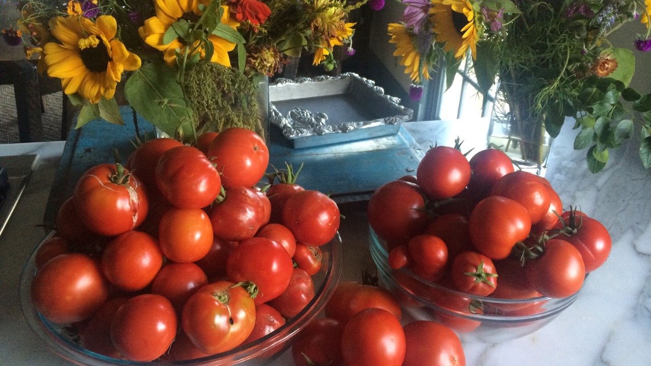 Photo of Others in Napa