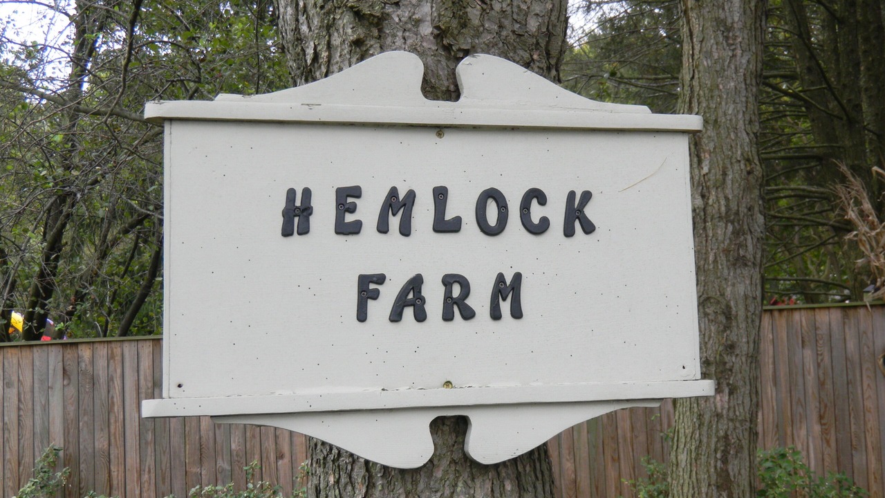 Photo of Outdoor in Edgewater