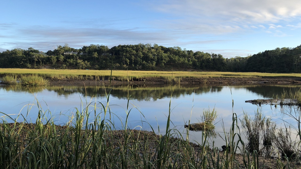 Photo of Others in Truro