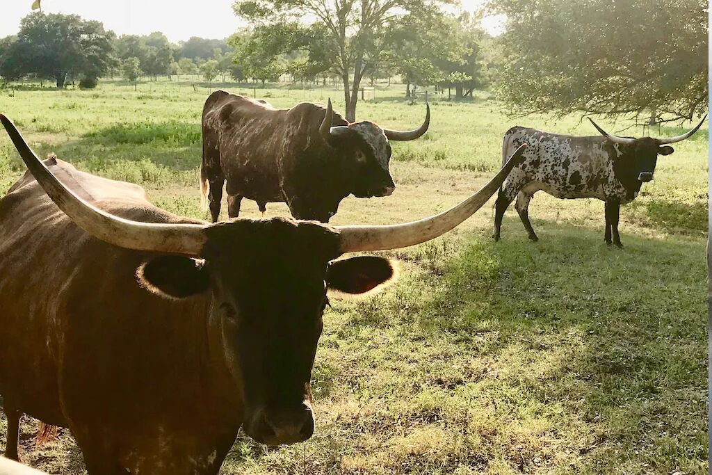 Photo of Others in Round Top