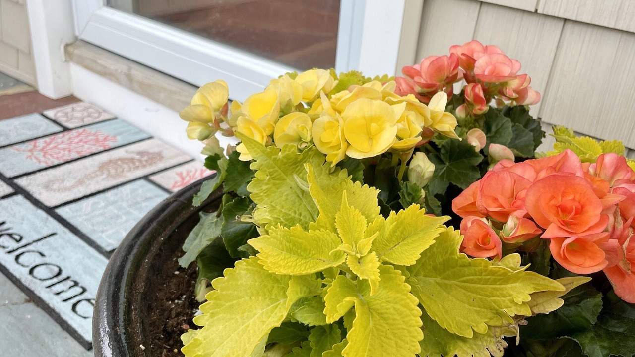 Photo of Outdoor in Wall