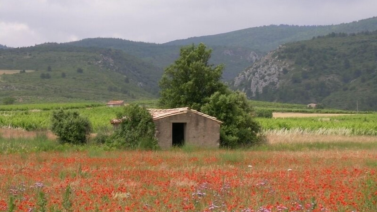 Photo of Others in Caunes-Minervois