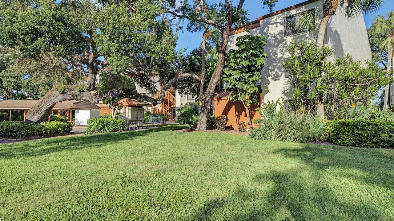 Photo of Outdoor in Siesta Key