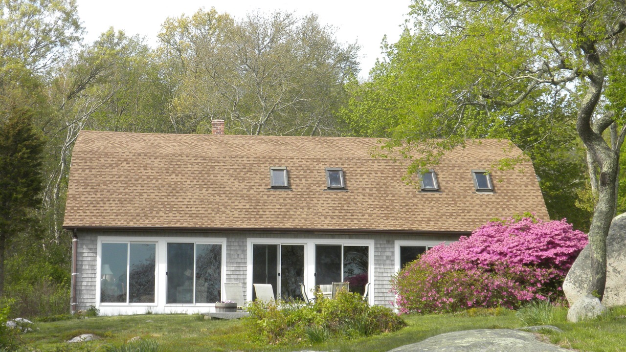 Photo of Others in Westerly