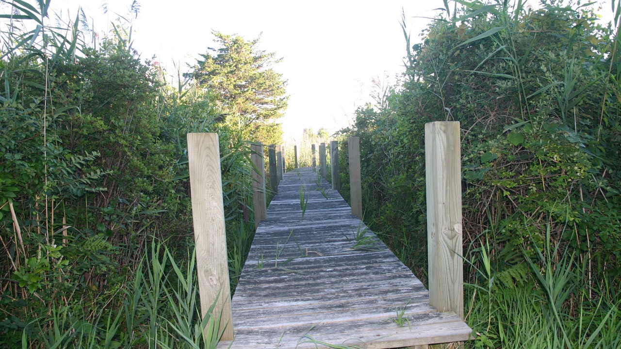 Photo of Outdoor in Westerly