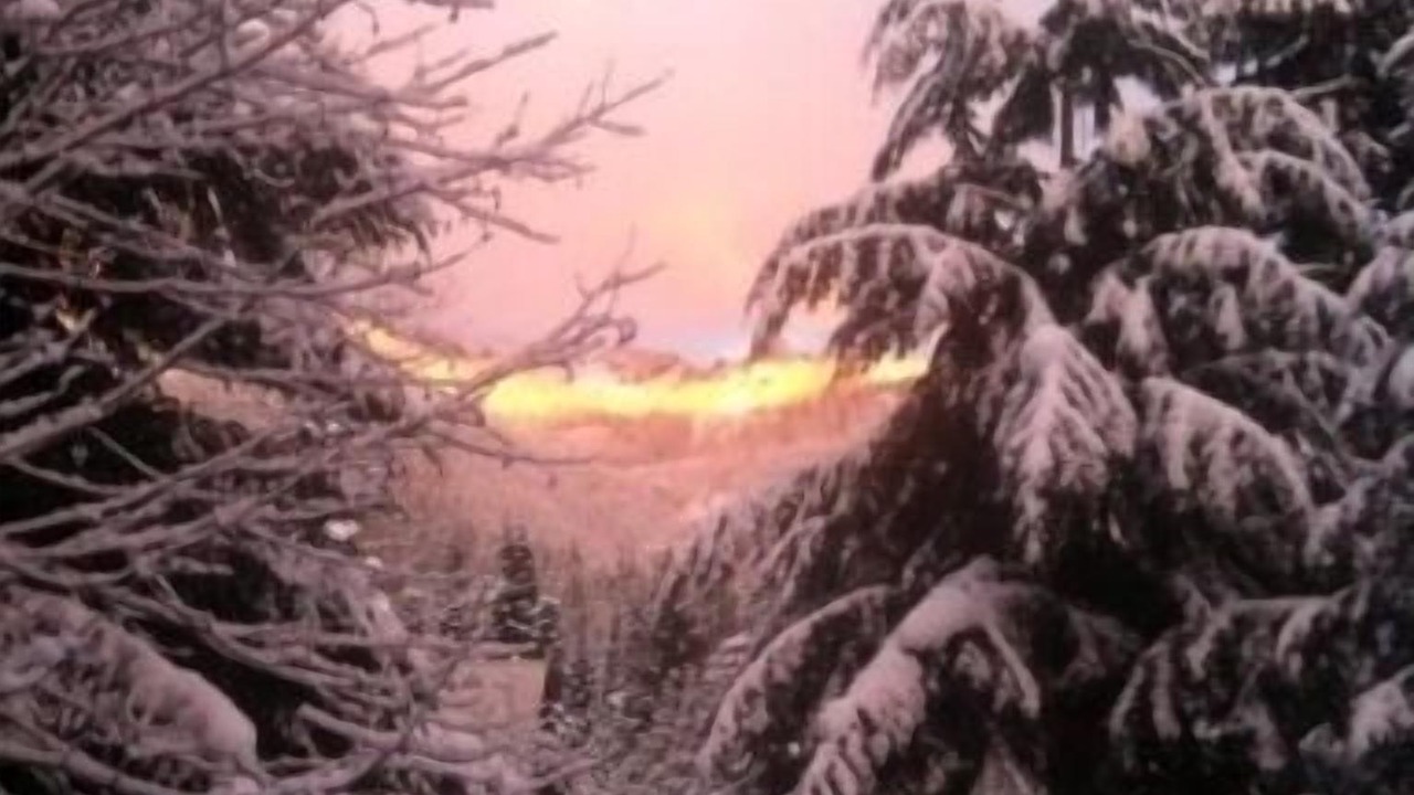 Photo of Others in Snoqualmie Pass