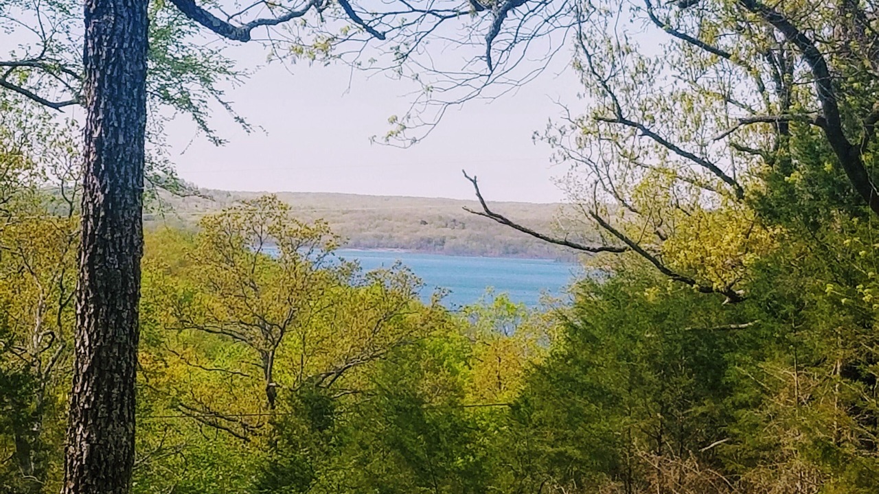 Photo of Outdoor in Cookson
