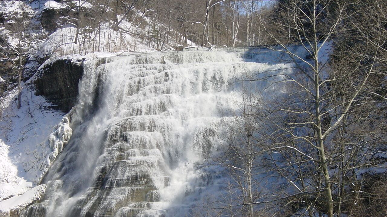 Photo of Outdoor in Trumansburg