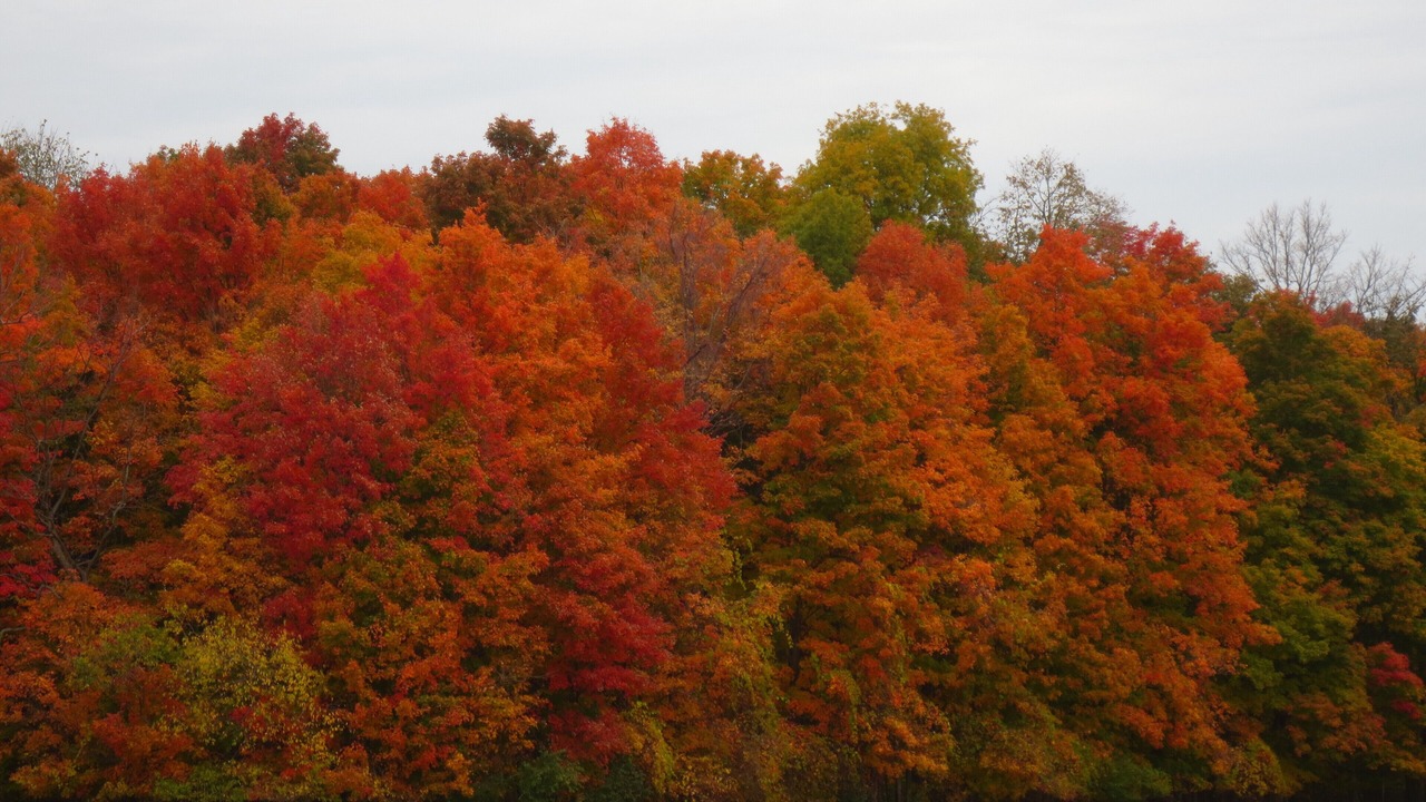 Photo of Others in Trumansburg