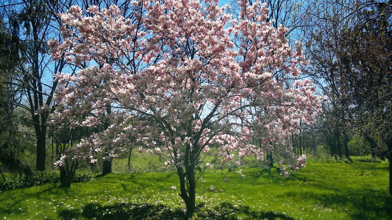 Photo of Outdoor in Trumansburg