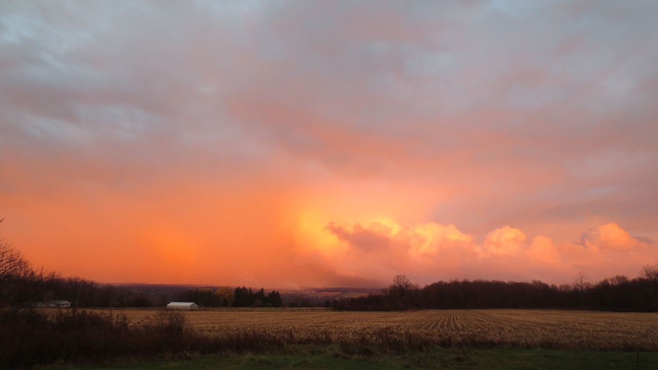 Photo of Others in Trumansburg