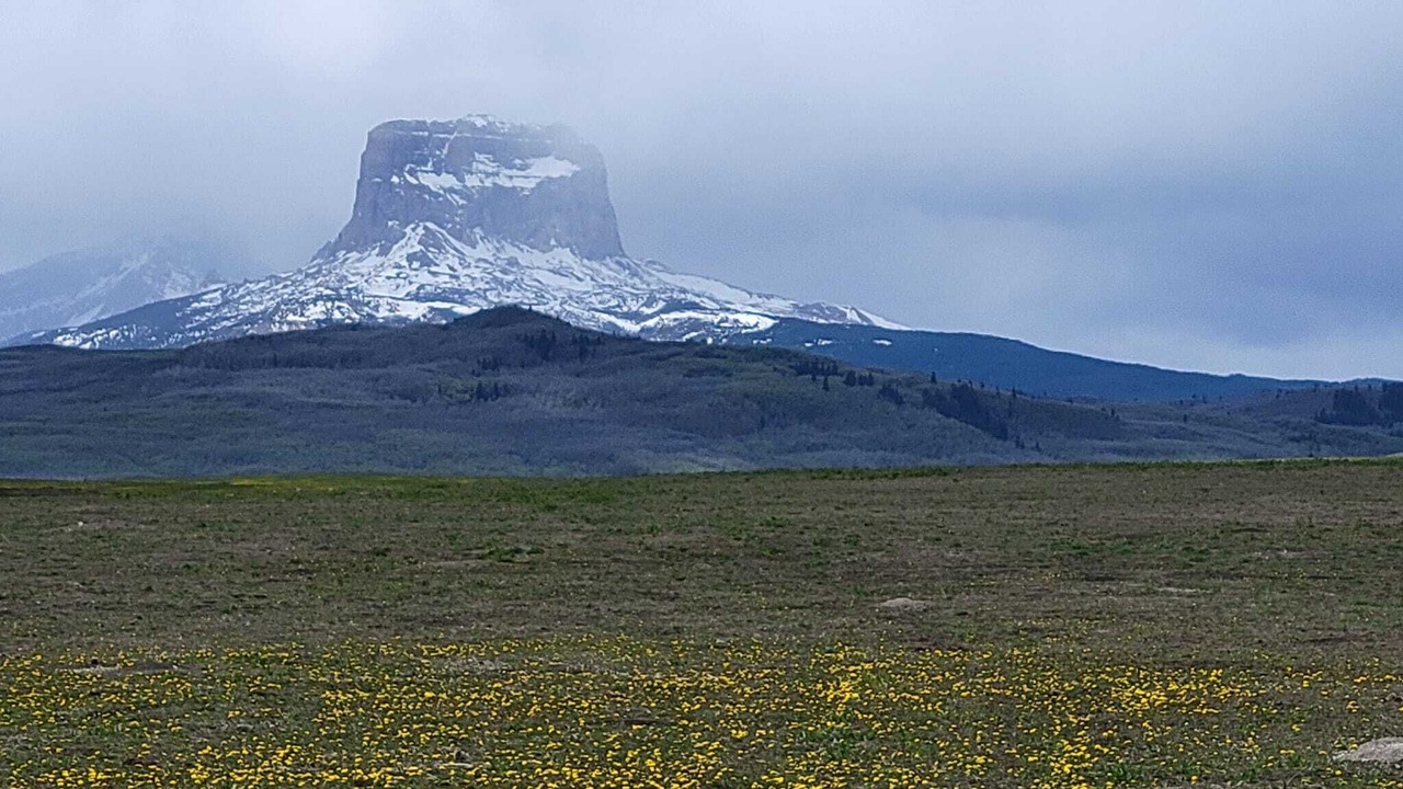Photo of Outdoor in Babb