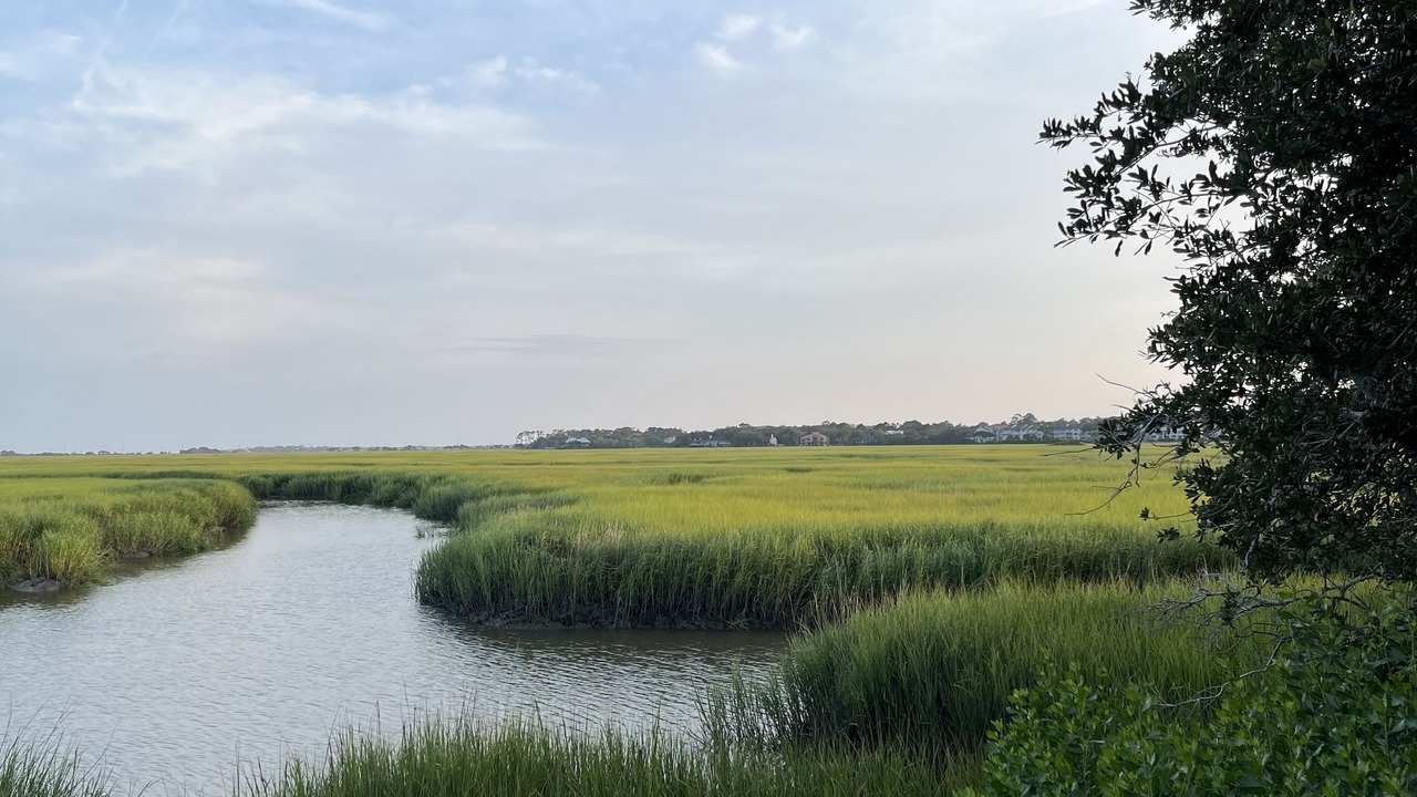 Photo of Outdoor in Saint Simons Heights