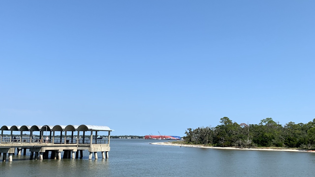 Photo of Others in Saint Simons Heights