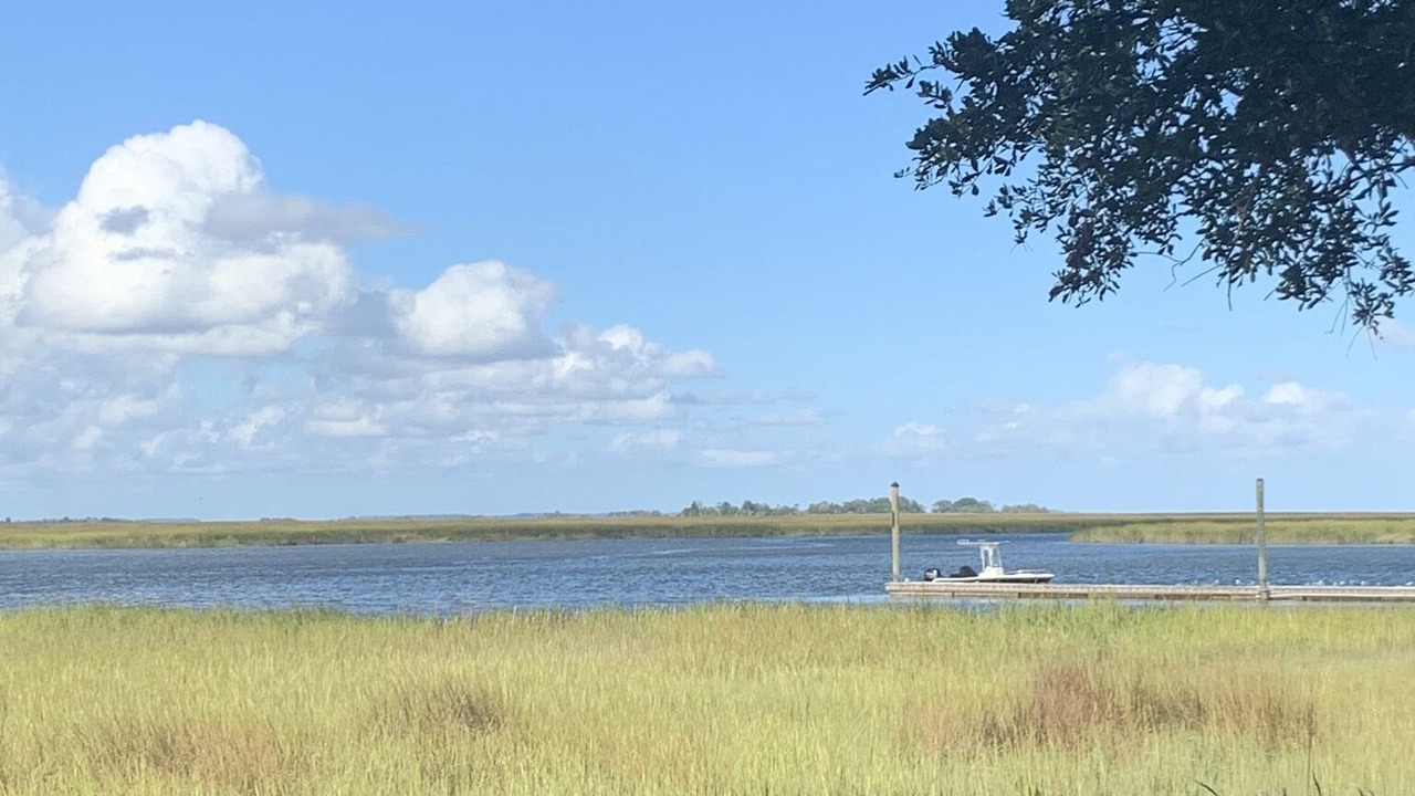 Photo of Others in Saint Simons Heights