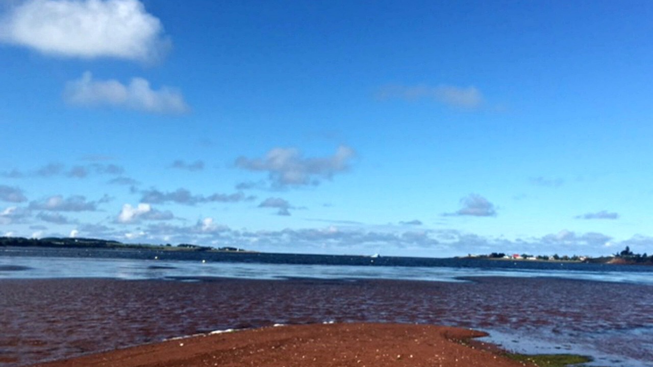 Photo of Others in New London