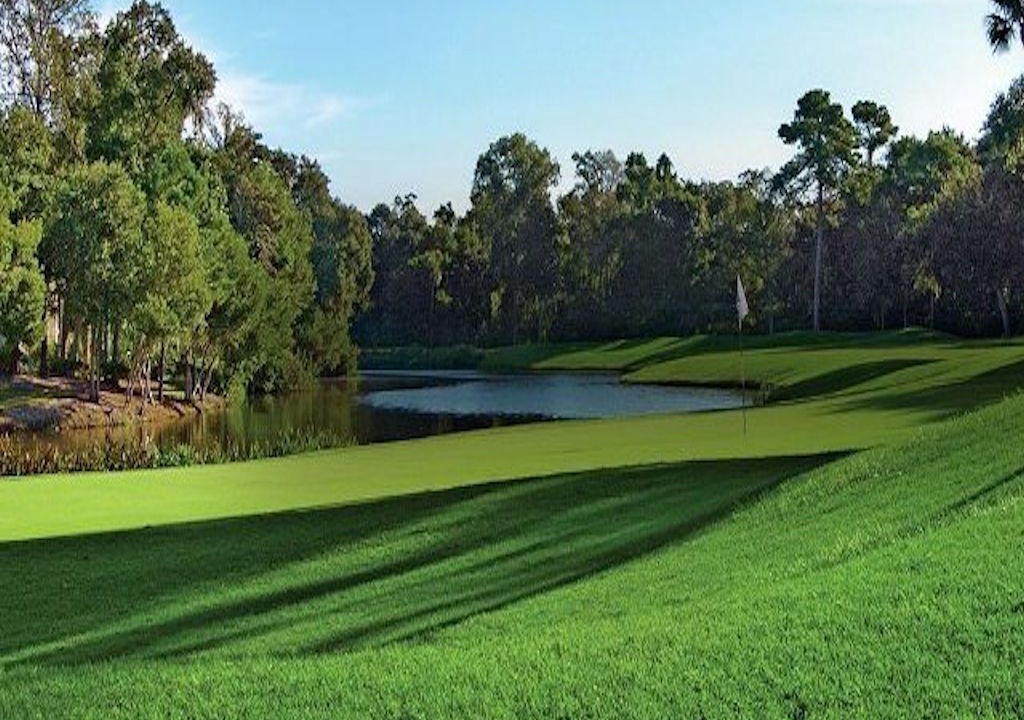 Photo of Others in Palmetto Dunes