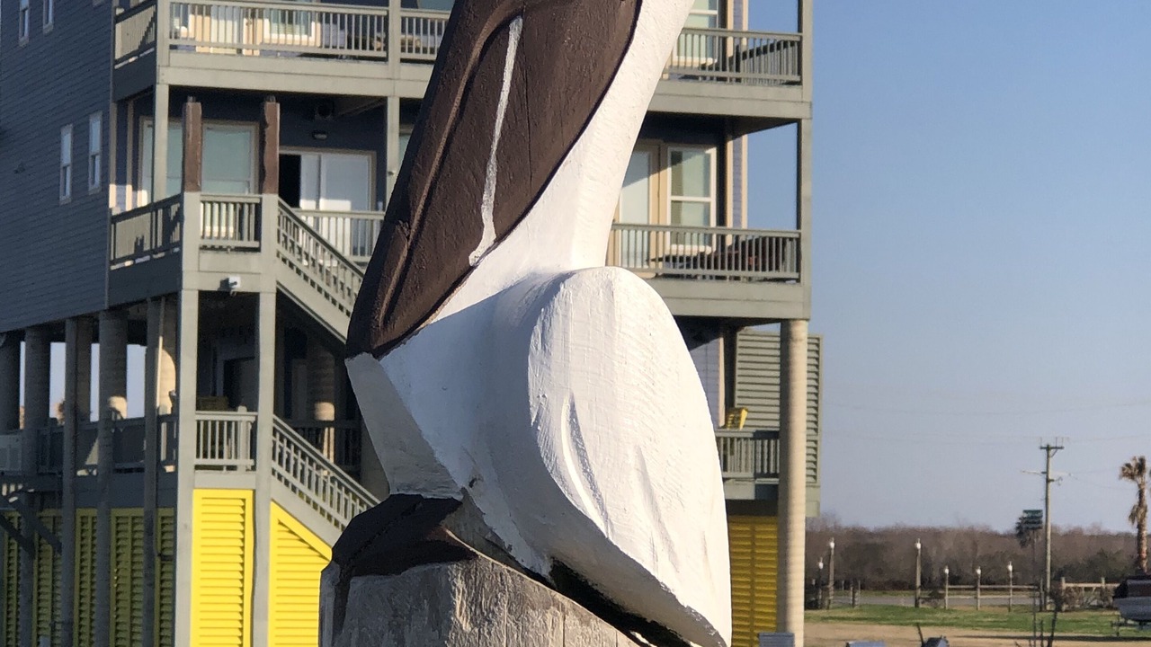 Photo of Others in Port Bolivar