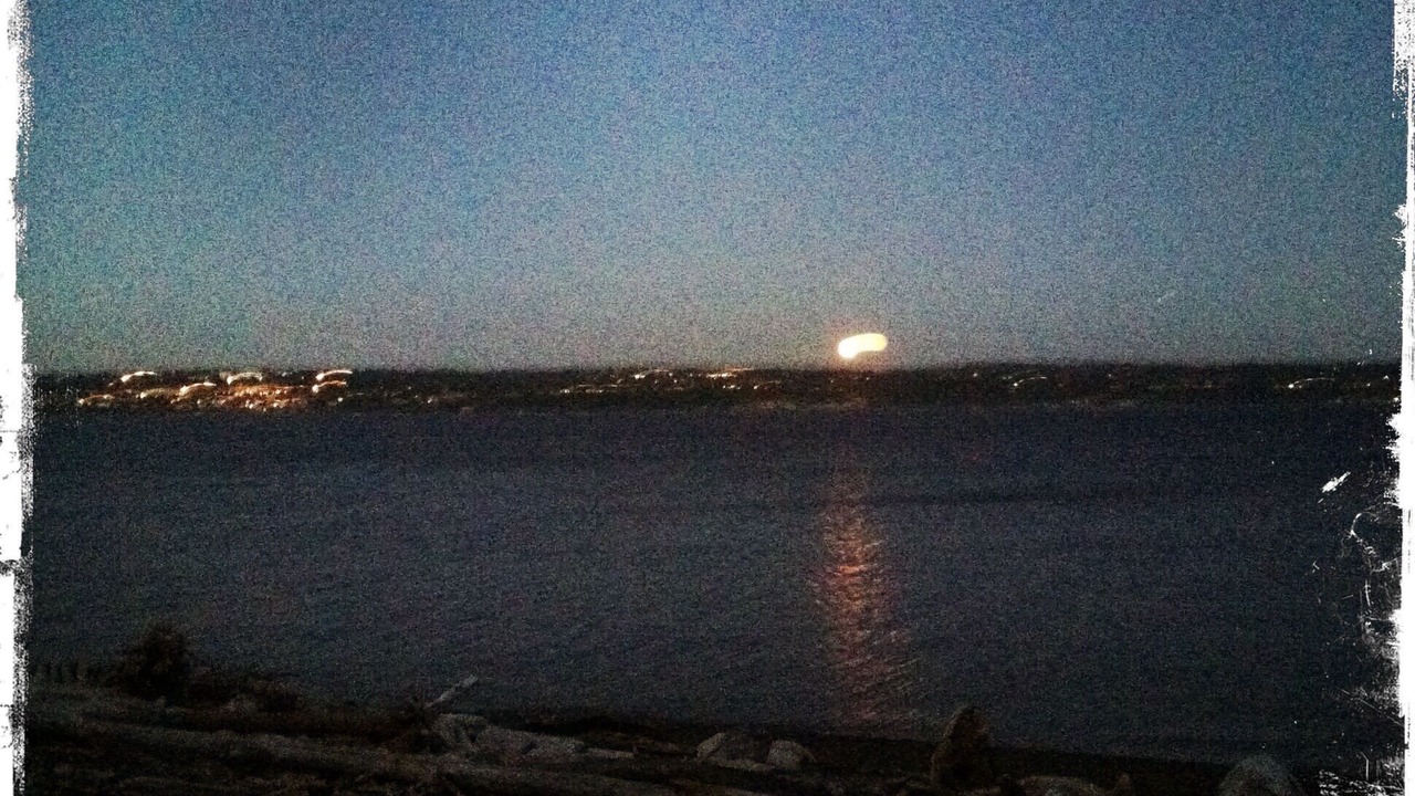 Photo of Others in Vashon Island