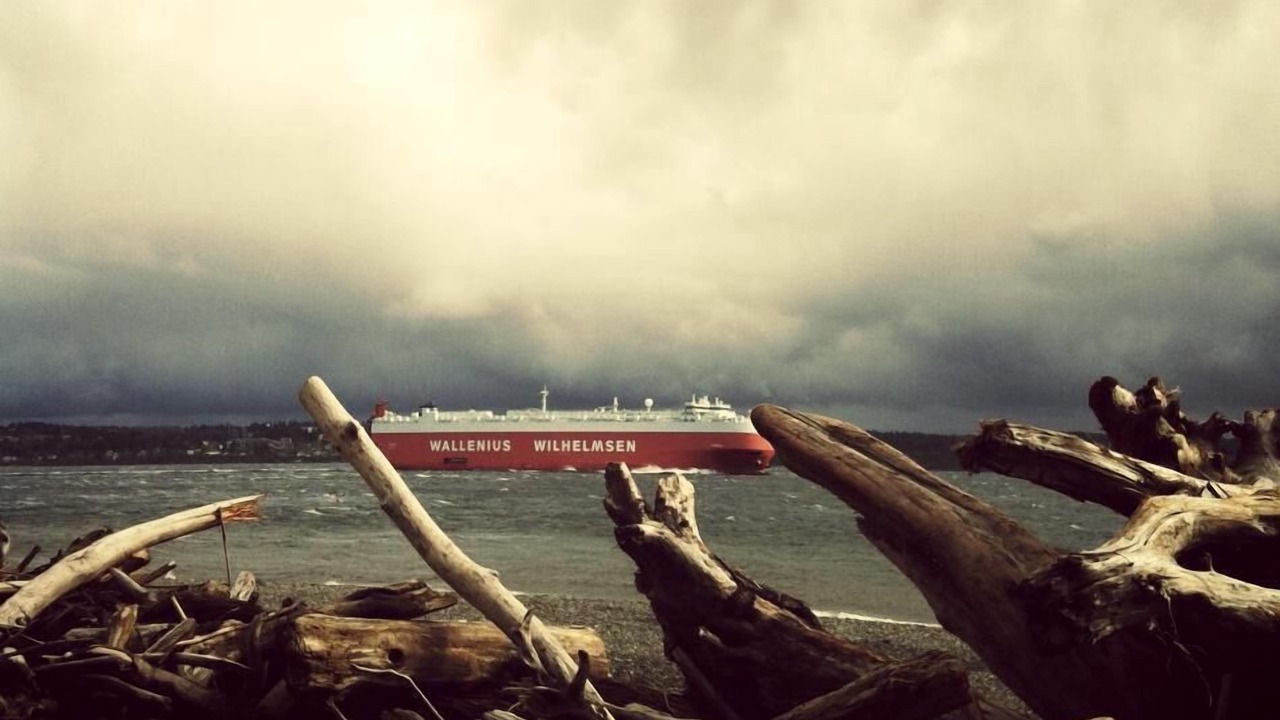 Photo of Outdoor in Vashon Island