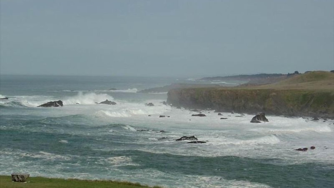Photo of Others in Albion