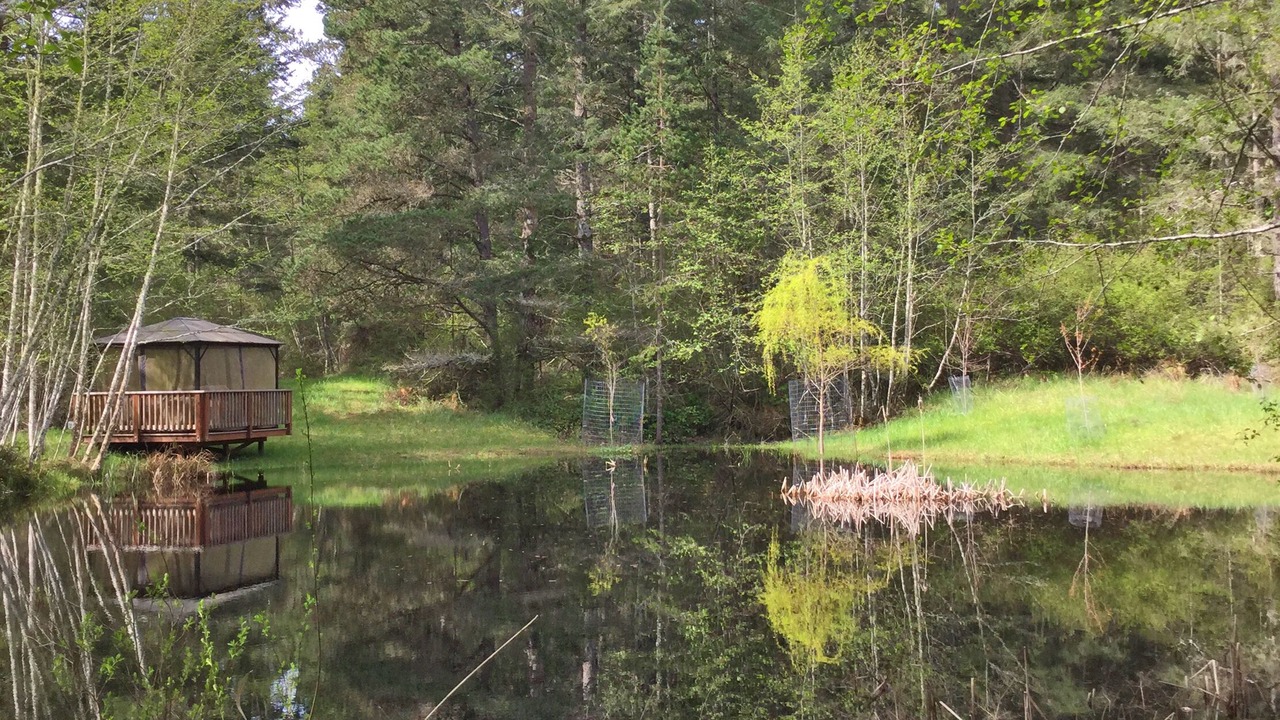 Photo of Outdoor in Friday Harbor