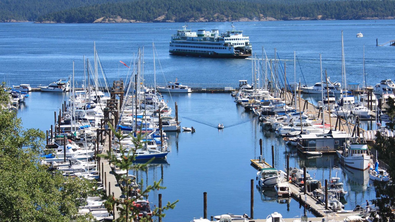 Photo of Others in Friday Harbor