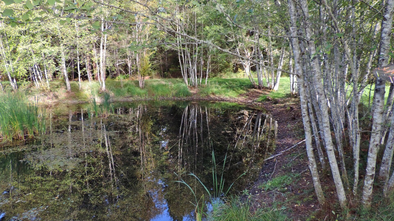 Photo of Others in Friday Harbor