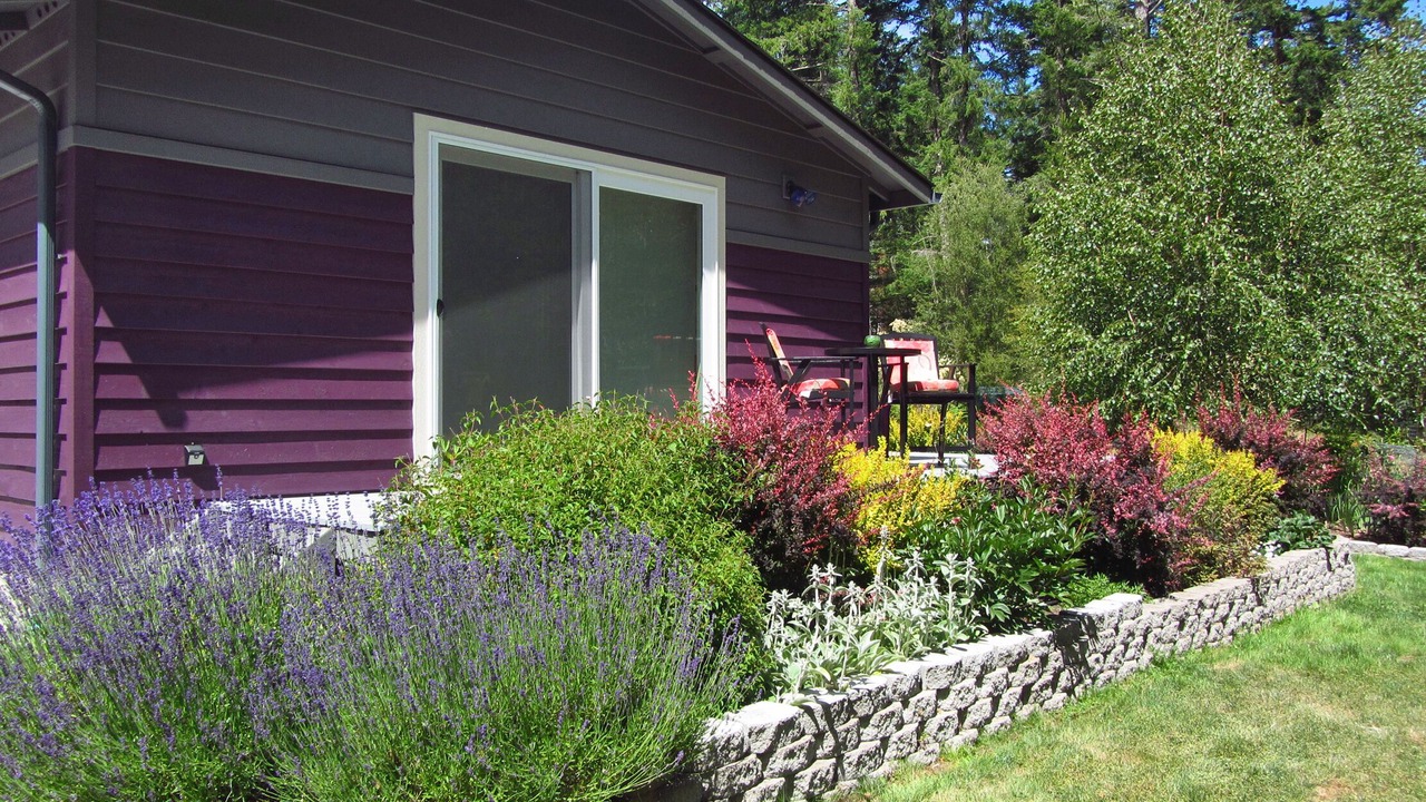 Photo of Others in Friday Harbor