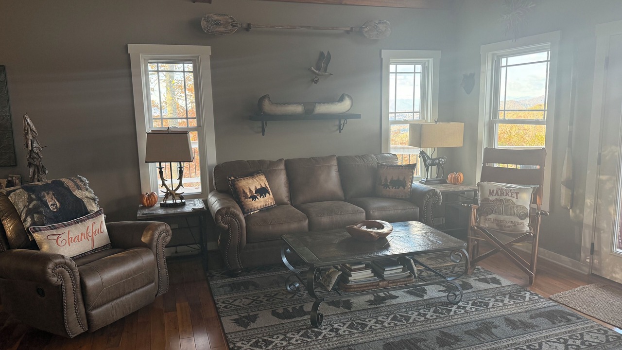 Photo of Livingroom in Swannanoa
