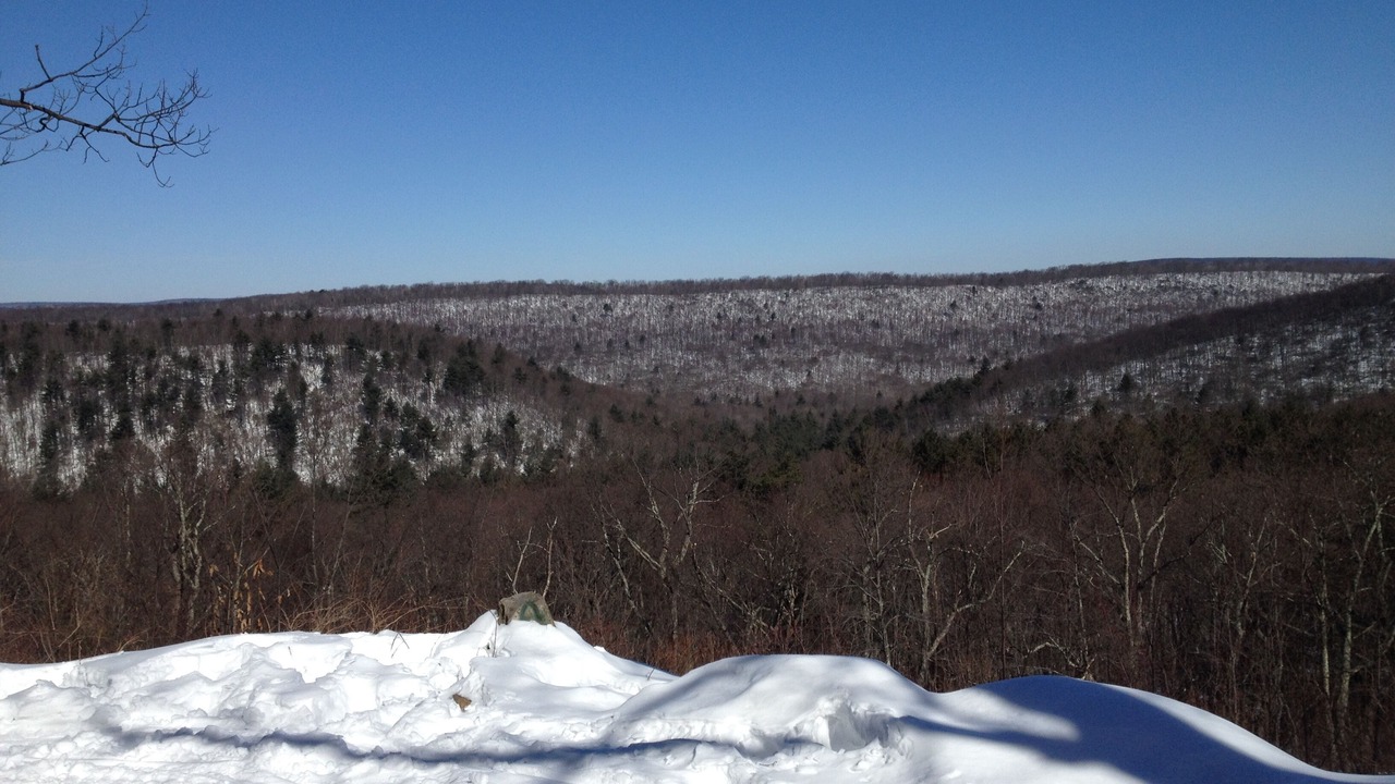 Photo of Others in Lock Haven