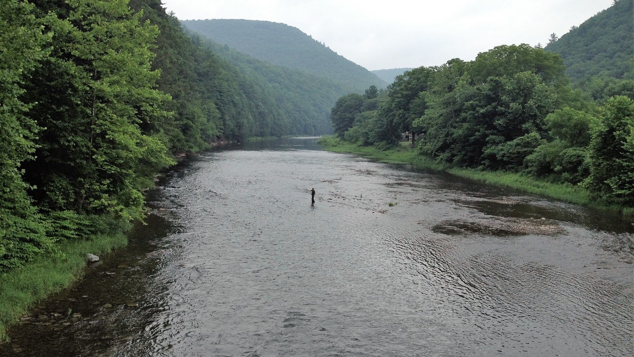 Photo of Others in Lock Haven